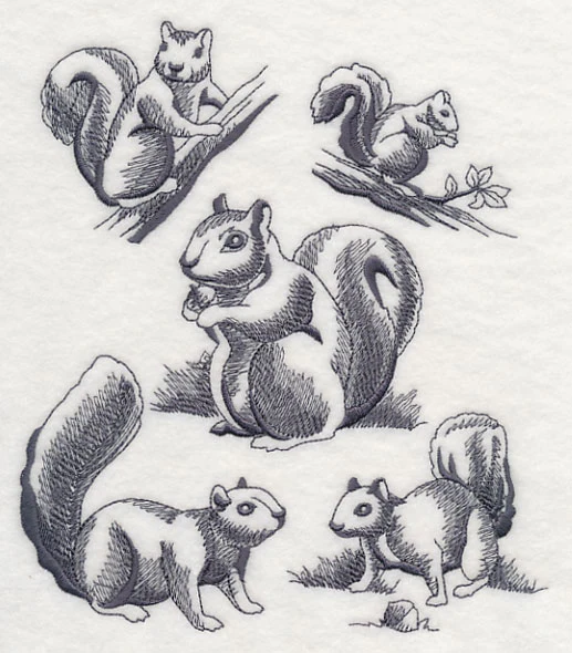 Squirrel Scurry