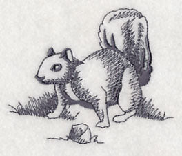 Squirrel Scurry 5