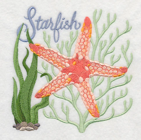 Starfish on the Shore - Image 3