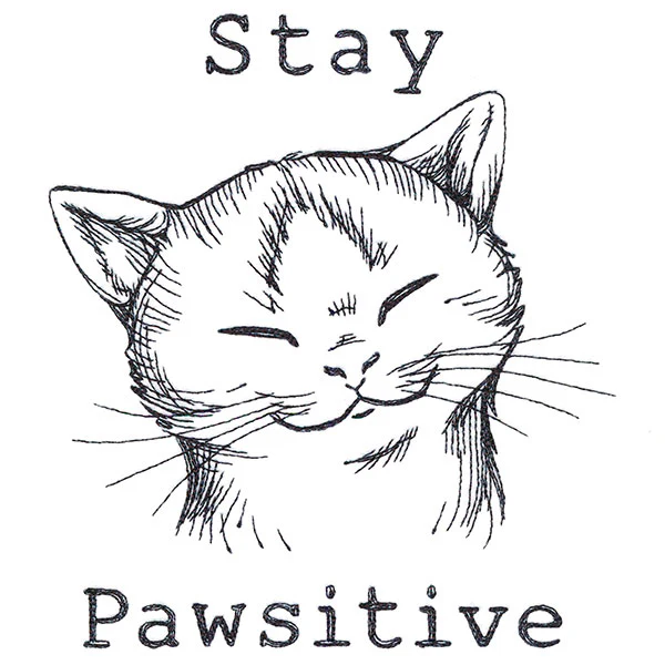 Stay Pawsitive Cat - Image 2