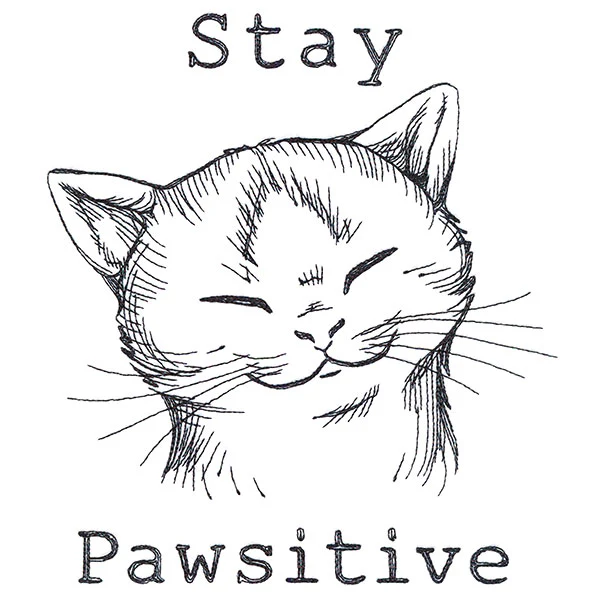 Stay Pawsitive Cat - Image 5