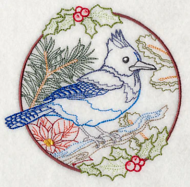 Steller's Jay in Christmas Blooms (Vintage) - Image 4