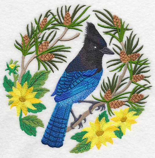 Steller's Jay Scene - Image 3