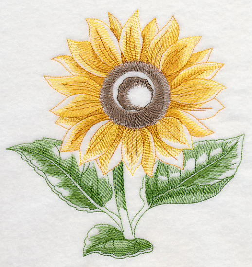 Sunflower Beauty - Image 2