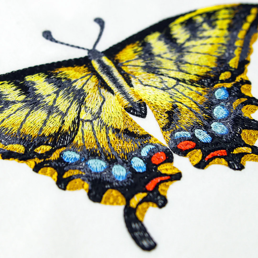 Swallowtail Specimen - Image 4
