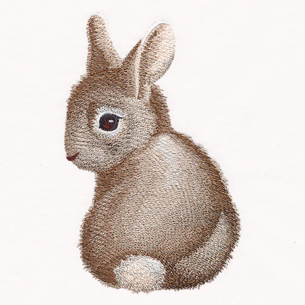 Sweet Baby Bunny - Image 2