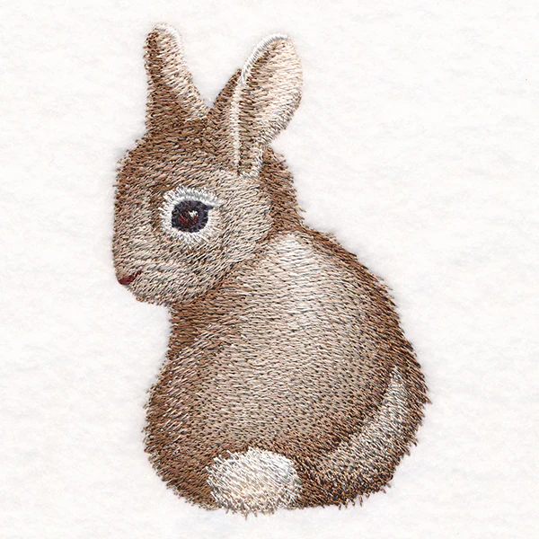 Sweet Baby Bunny - Image 3