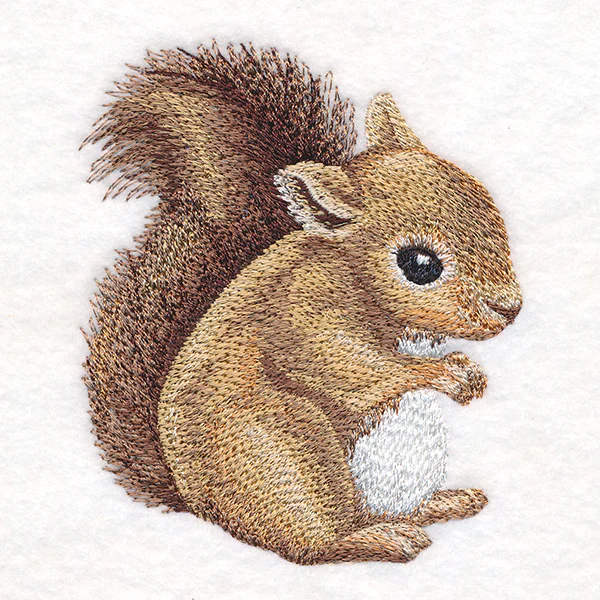 Sweet Baby Squirrel - Image 3