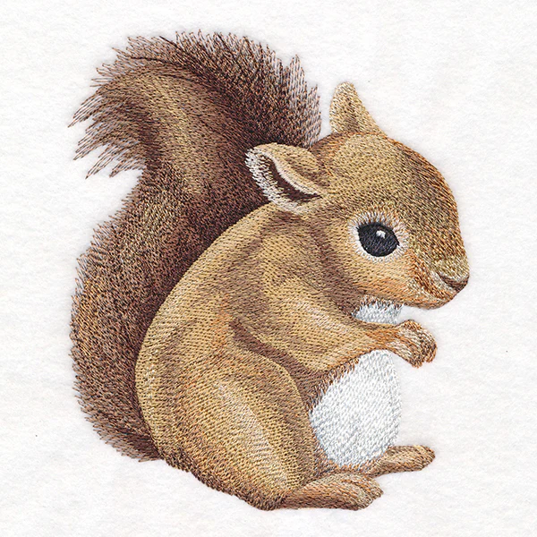 Sweet Baby Squirrel - Image 4