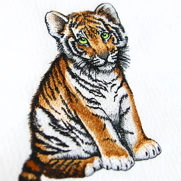 Sweet Baby Tiger - Image 8