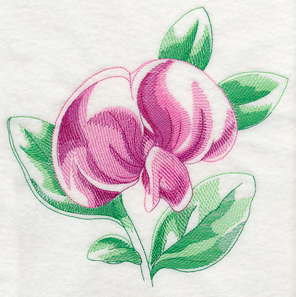 Sweet Pea Beauty - Image 6