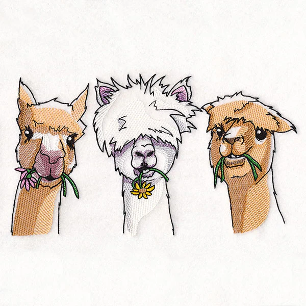 Sweet & Sassy Alpaca Trio - Image 9