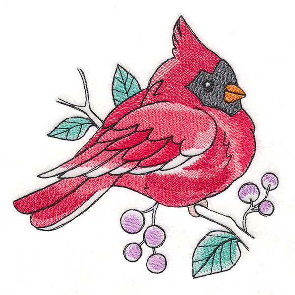 Sweet Spring Cardinal