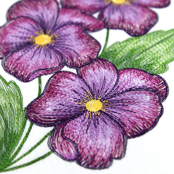Textured and Lovely African Violets - Image 2