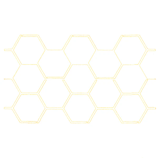 Textured Favorites - Honeycomb (Edge-to-Edge Quilting) - Image 5
