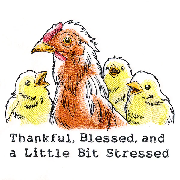 Thankful, Blessed, and a Little Bit Stressed Chickens - Image 2