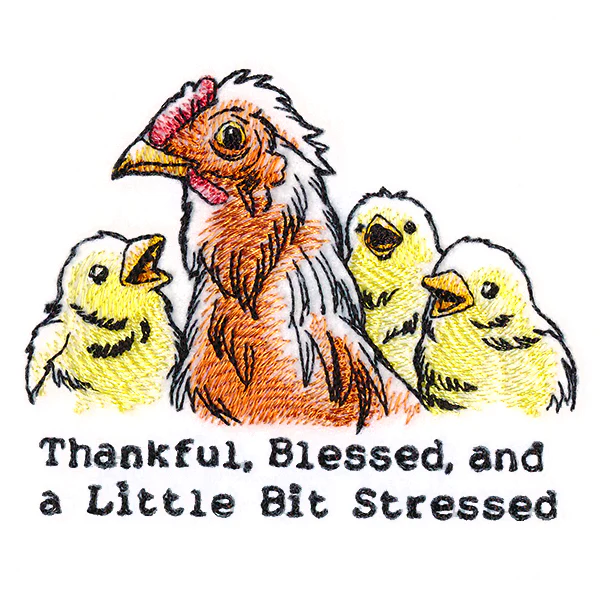 Thankful, Blessed, and a Little Bit Stressed Chickens - Image 4
