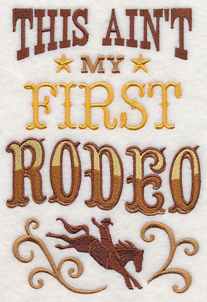 This Ain't My First Rodeo - Image 3