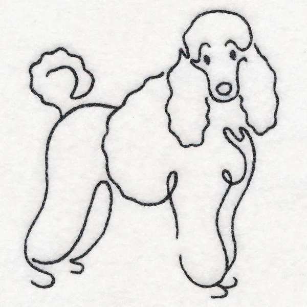 Top of the Line - Poodle - Image 5