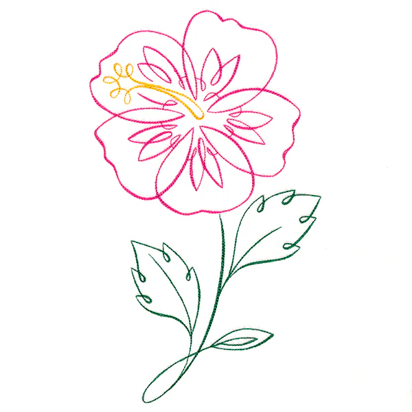 Tropical Calligraphy in Bloom - Hibiscus