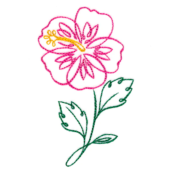 Tropical Calligraphy in Bloom - Hibiscus - Image 5