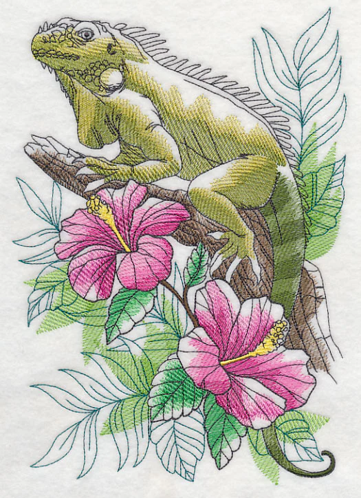 Tropical Iguana Sketch