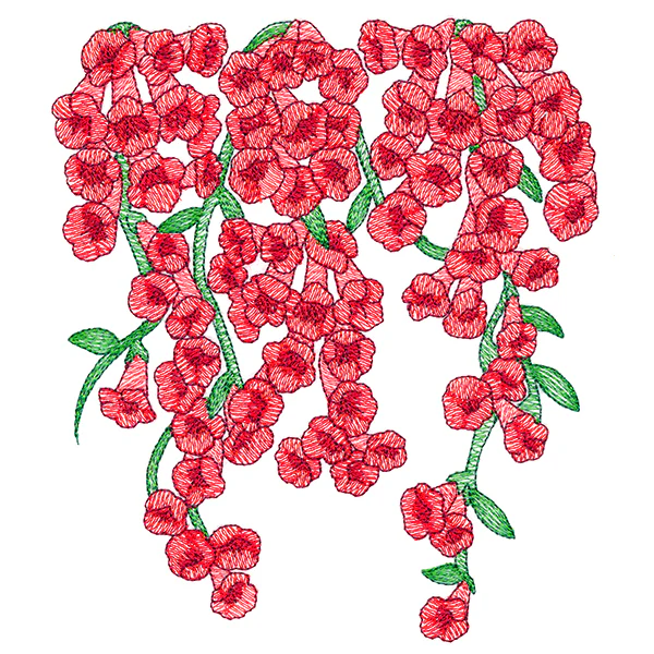 Trumpet Vine Flowers Feature - Image 2