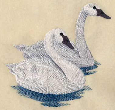 Trumpeter Swans on the Lake - Image 3