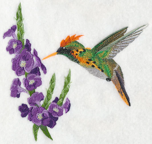 Tufted Coquette Hummingbird with Porterweed Flower - Image 4