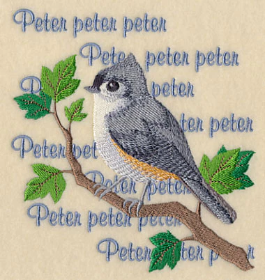 Tufted Titmouse Song - Image 4