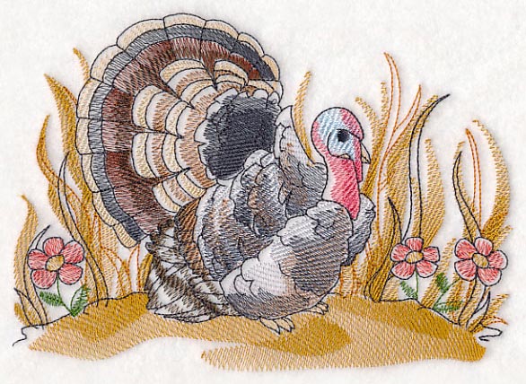 Turkey Sketch - Image 2