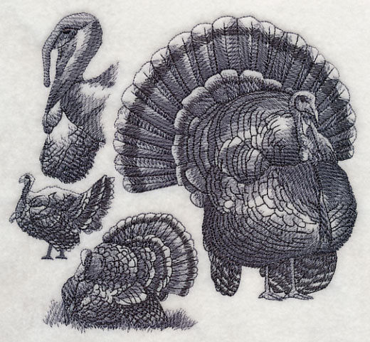 Turkey Sketch - Image 2