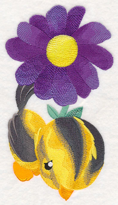 Tweety Sweetie - Oriole