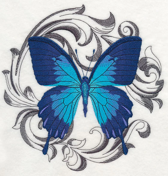Ulysses Swallowtail with Baroque Background
