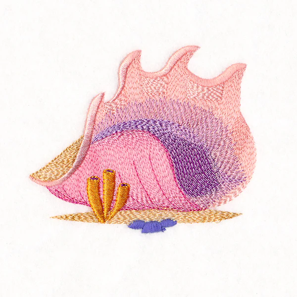 Under the Sea - Seashell - Image 3