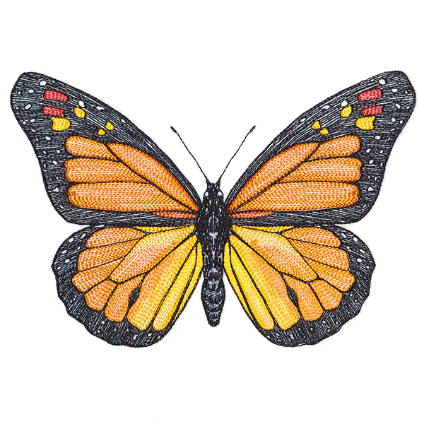 Vibrant Monarch Etching - Image 4