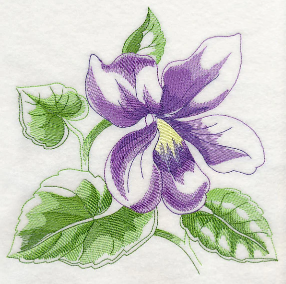 Violet Beauty