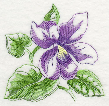 Violet Beauty - Image 4