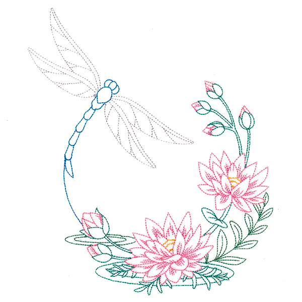 Water Lily Blooms Dragonfly