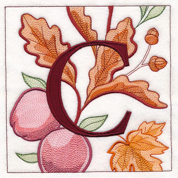 Welcome Fall Square - C - Image 16