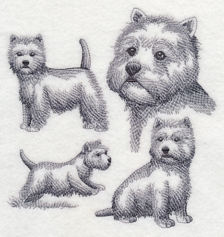 West Highland Terrier Sketch - Image 3
