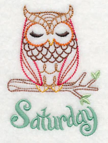 What a Hoot! Saturday (Vintage) - Image 2
