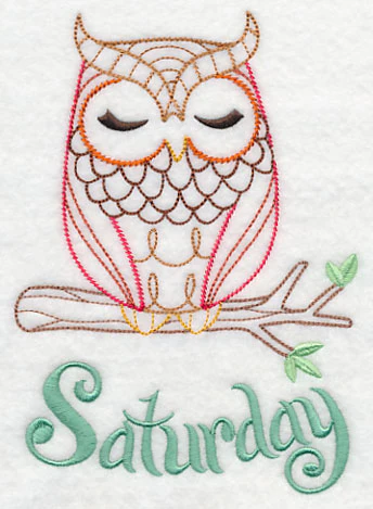 What a Hoot! Saturday (Vintage) - Image 3