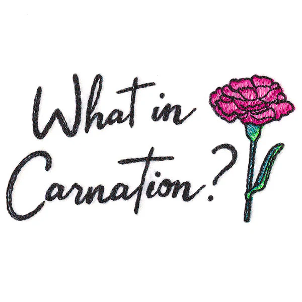 What in Carnation? - Image 5