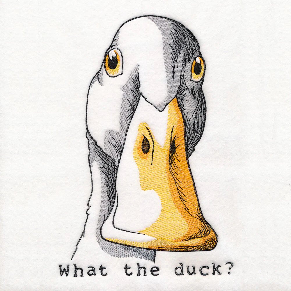 What the Duck - Image 5