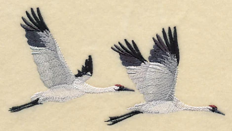 Whooping Cranes in Flight - Image 3