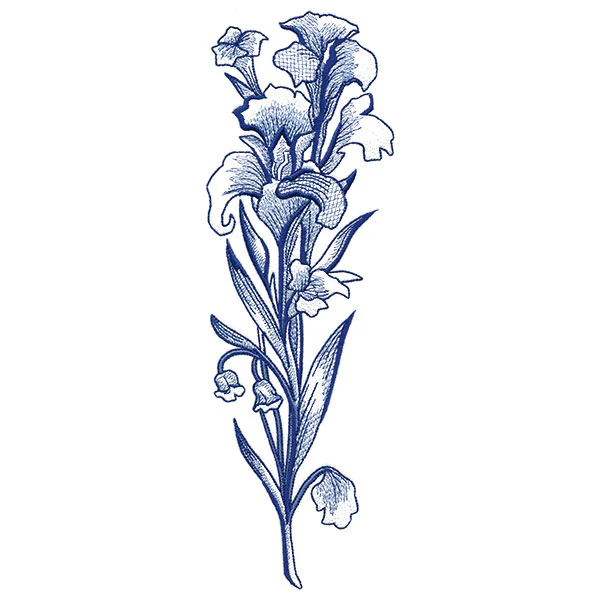 Wild and Blooming Iris