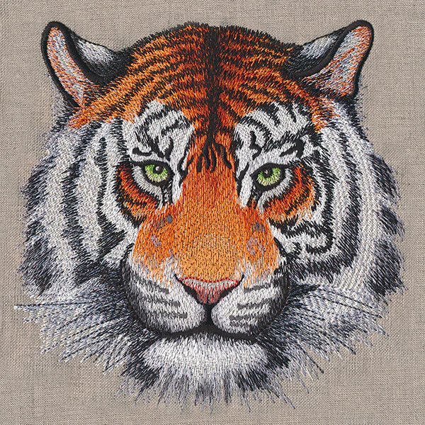 Wild Beauty Tiger - Image 5