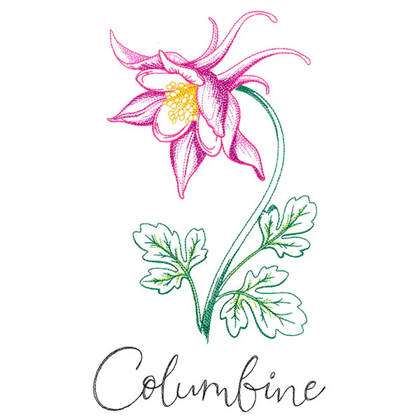 Wild Blooms - Columbine