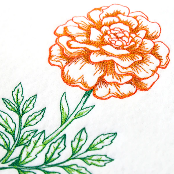 Wild Blooms - Marigold - Image 10
